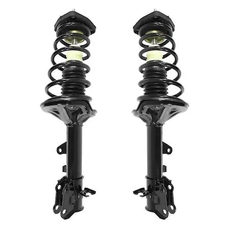 Pair of silver rear strut assemblies with coil springs and mounts