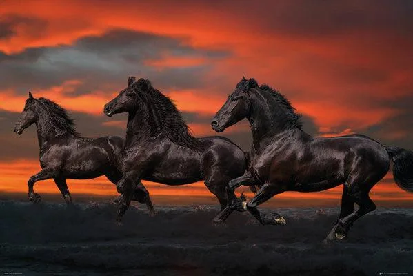 Poster print of fantasy horses by Bob Langrish, 22 by 34 inches, rolled in tube