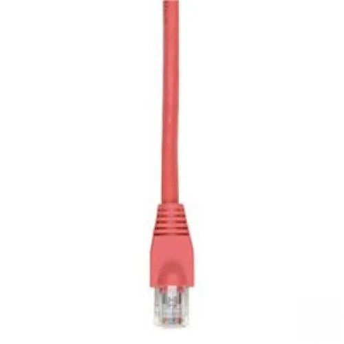 Black Box Corporation Black Box EVNSL643-0020 Cat6 550 MHz RJ45 Patch Cable 20 ft Red — product photo