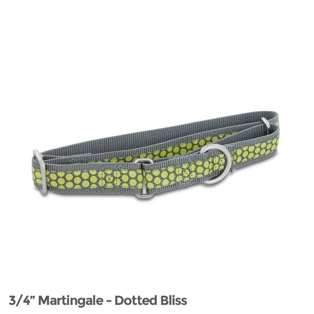 PetSafe martingale dog collar, 3/4 inch wide medium, dotted fabric on nylon with brushed nickel hardware