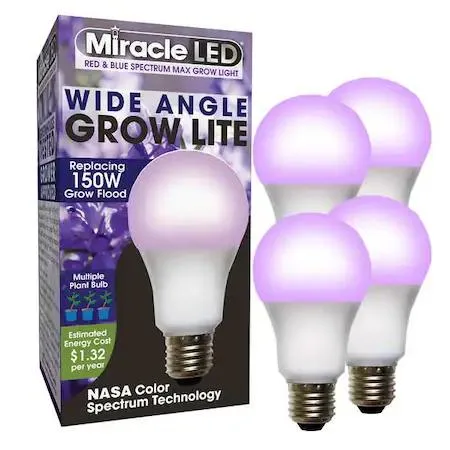 Four frosted A21 LED grow bulbs with red and blue spectrum lighting