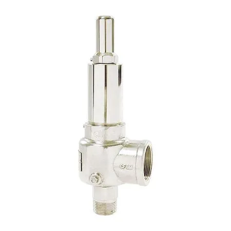 Bronze POP safety valve with test lever, 3/4 inch inlet, 1-1/4 inch outlet