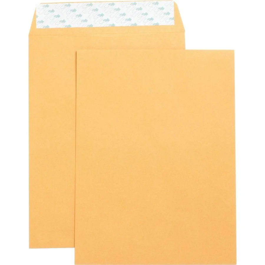 Business Source Business Source 42120 Kraft Envelope 9x12 Self Seal 250/Box — product photo