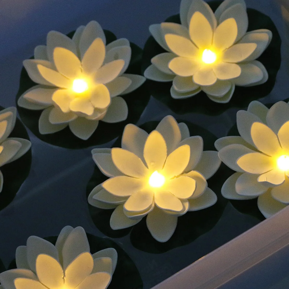 Twelve white foam lotus flowers with warm LED centres, each five inches wide