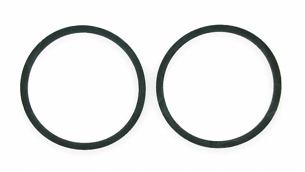 BELL AND GOSSETT BELL AND GOSSETT 118129 Gasket Flange PK2 trap — product photo