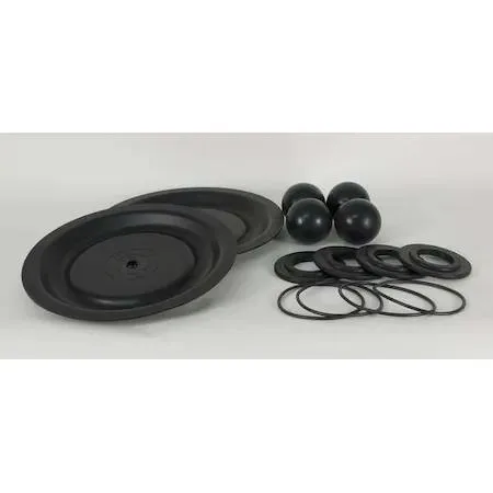 Dayton Dayton 22A620 Pump Repair Kit Santoprene 1 In — product photo