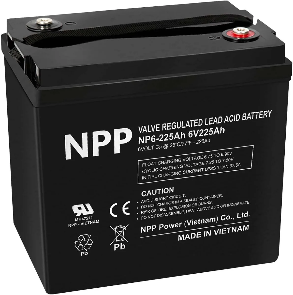 NPP NPP NP6V 225Ah 6V AGM Rechargeable Standard Battery with T16A Terminal — product photo