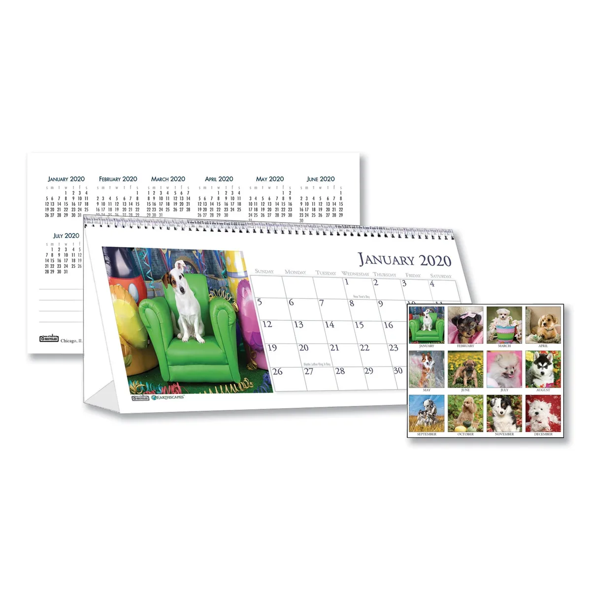 House of Doolittle House of Doolittle Puppy Photos Desk Tent Calendar 8.5 x 4.5 2026 — product photo