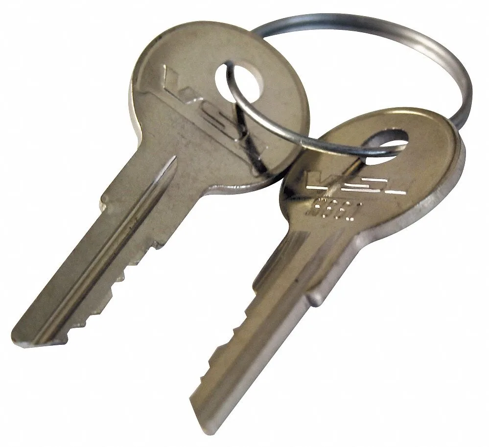 Eaton Eaton 10250ED824 Replacement Key 30 mm H661 — product photo