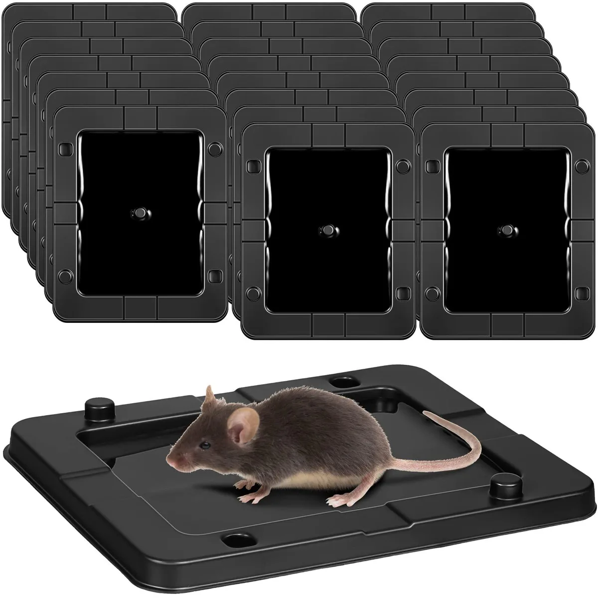 Pack of 24 black rectangular plastic glue trays 5.5 x 4.5 inches