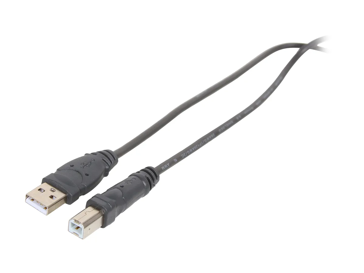 Belkin Belkin F3U133b06 USB 2.0 A to B cable 6 — product photo