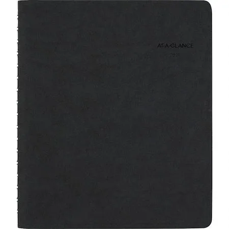 AT-A-GLANCE AT-A-GLANCE AAG70EP0305 Daily Action Planner — product photo