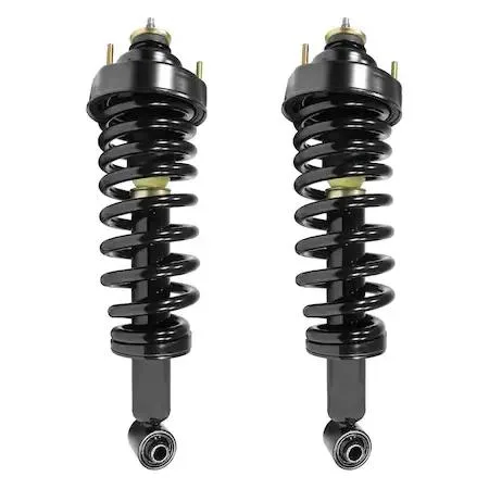 Boxed pair of rear strut assemblies with springs and mounts