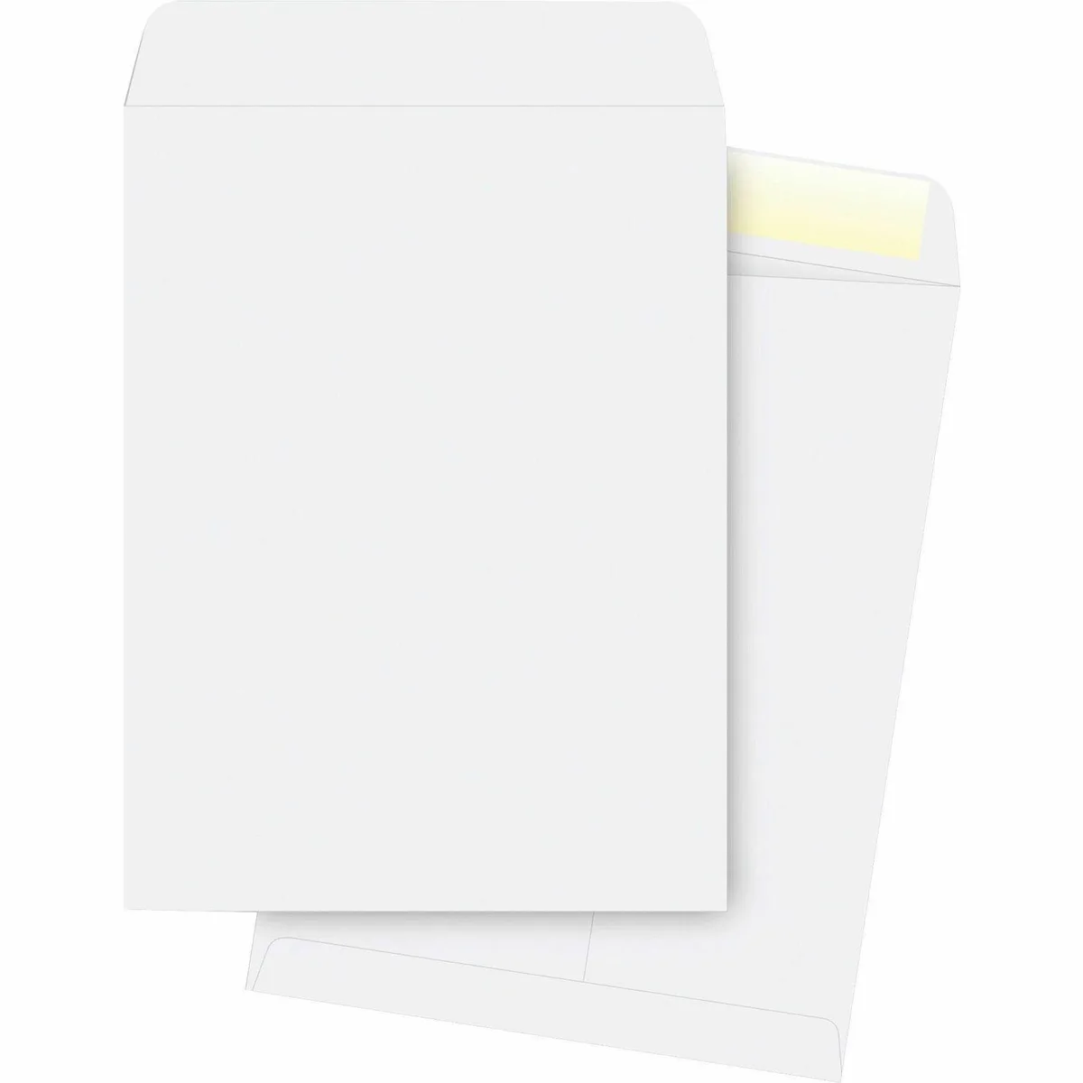 Business Source Business Source 42103 Envelopes 10x13 28lb White 250pk — product photo