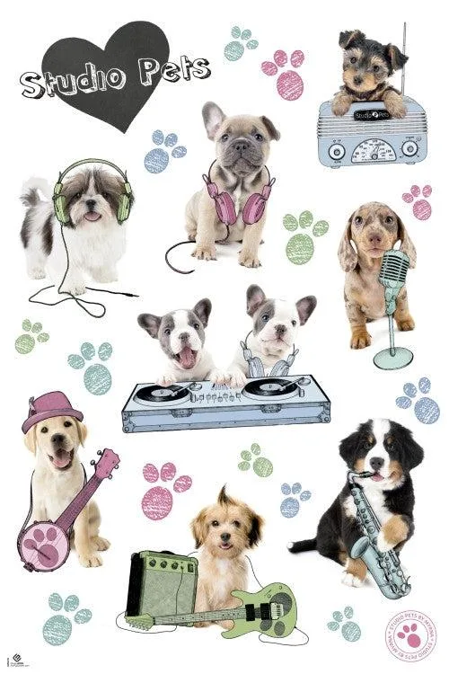 Poster print showing dogs with musical instruments, 24 by 36 inches