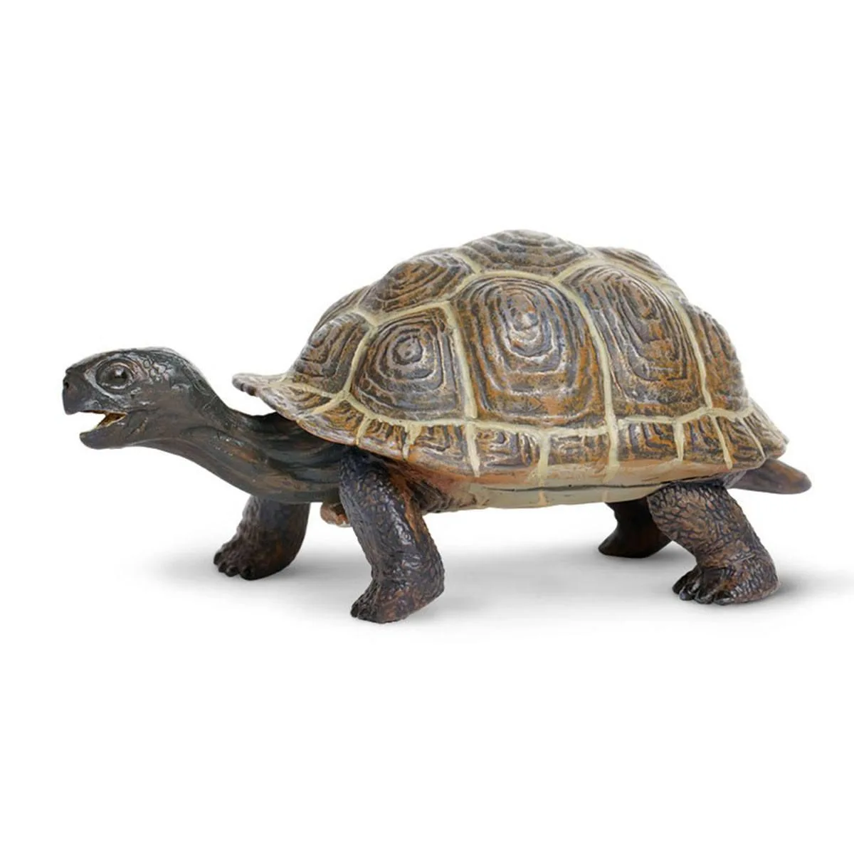 Safari Ltd. Safari Ltd. Tortoise Baby Incredible Creatures Figure — product photo