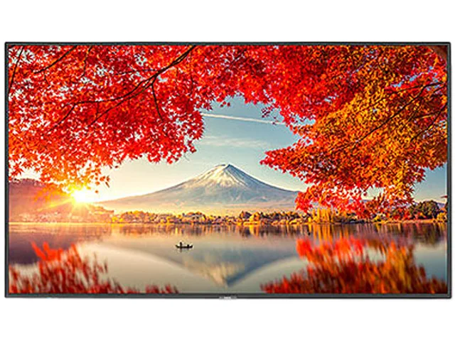 NEC Display Solutions NEC Display Solutions MPi4E digital signage media player — product photo