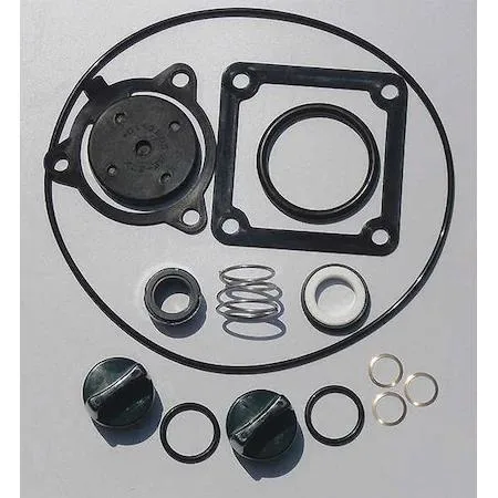 Buna seal kit with mechanical seal, washers, plugs, check valve and O-rings