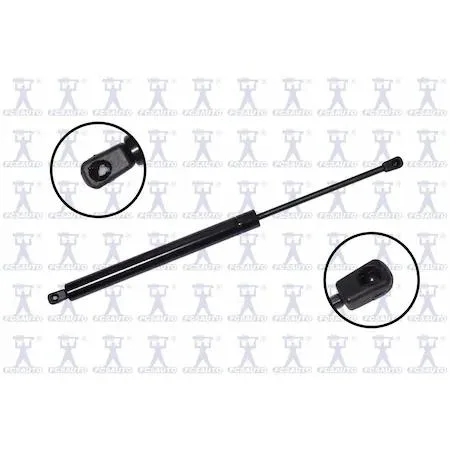 FCS Struts 86648 transparent lift support hatch