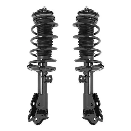 Pair of silver front strut assemblies with coil springs and top mounts
