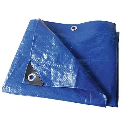 Value Brand Value Brand 10 x 12 ft 3.2 mil Polyethylene Tarp Blue — product photo