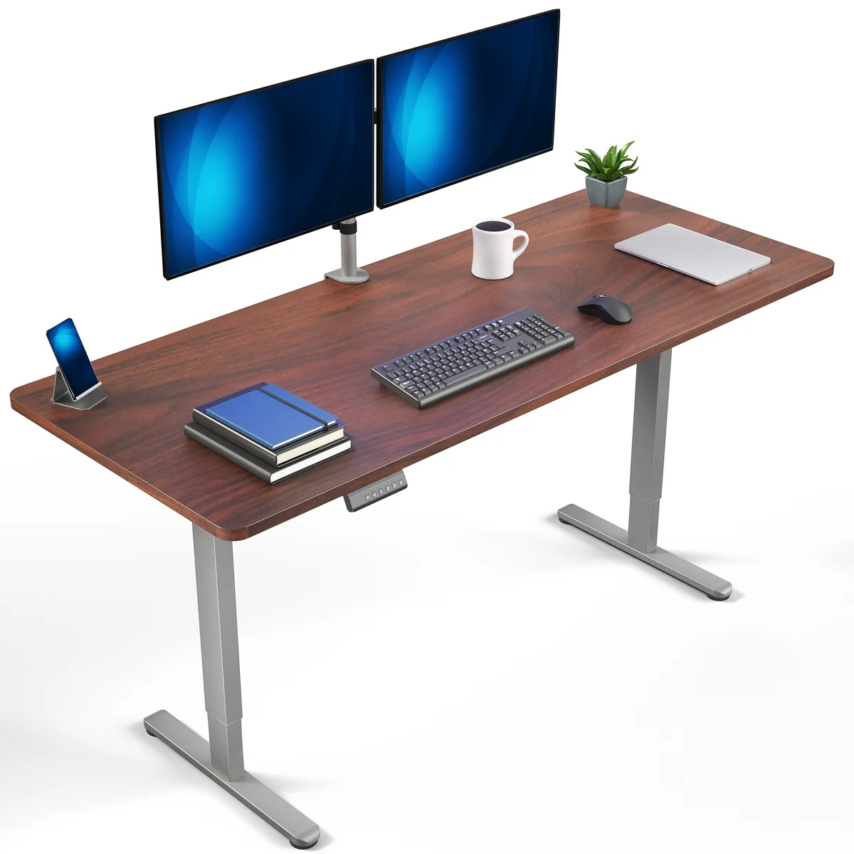 A rectangular dark walnut desktop on a gray steel standing frame with telescopic legs