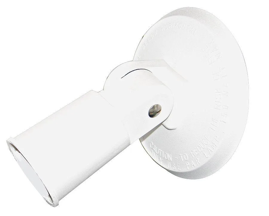 W F Harris Lighting W F Harris Lighting 101-W PAR38 Lampholder 150W — product photo