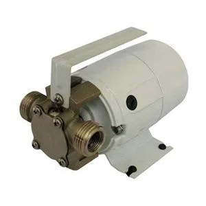 Compact stainless steel utility pump with hose discharge and MGHT intake connection
