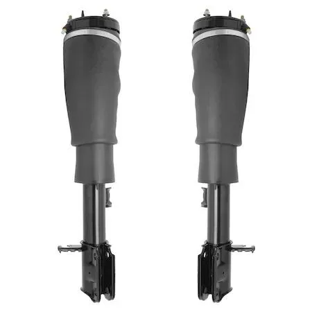 Two silver front air strut assemblies in a kit