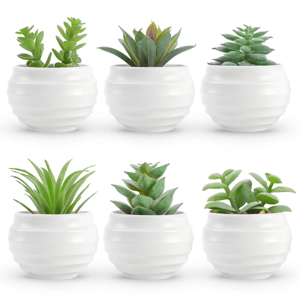 Six mini artificial succulents in white ribbed plastic pots with decorative pebbles, each about 3.14 inches tall