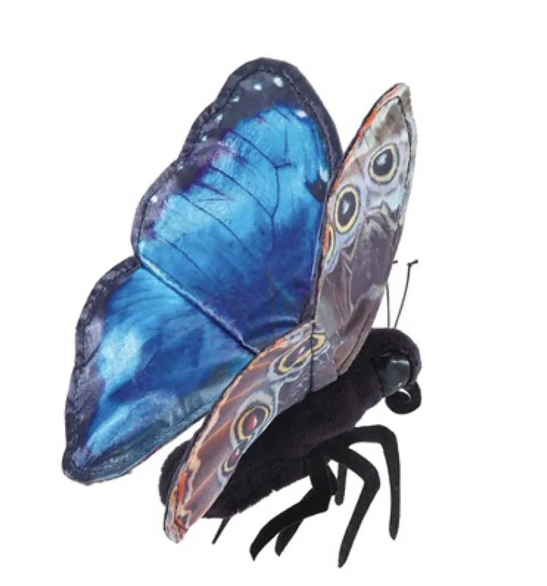 Folkmanis Puppets Folkmanis Puppets Blue Morpho Butterfly Finger Puppet 9.5" wingspan — product photo