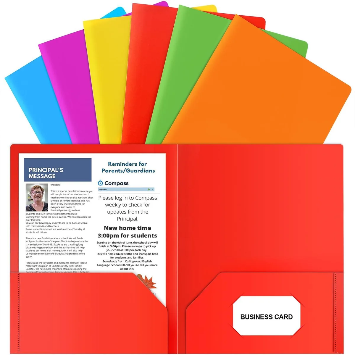 Six transparent polypropylene wallet folders in assorted colours, letter size, top-loading with two pockets and a business card slot