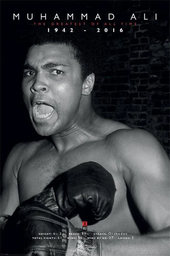 Muhammad Ali memorial poster 36 by 24 inches on heavy stock paper