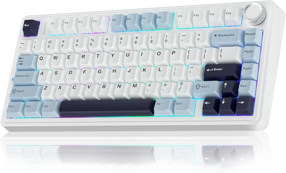 TUKO TUKO AULA F75 75% Wireless Mechanical Gaming Keyboard Hot-swappable Reaper Switches White Blue — product photo