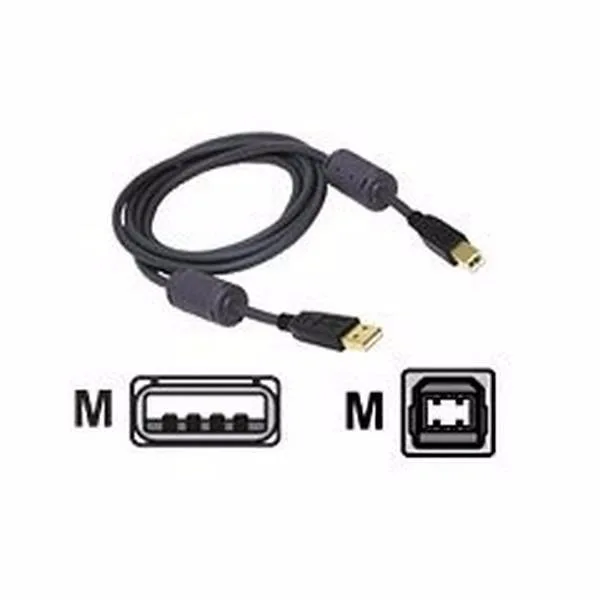 Cables To Go Cables To Go 29141 USB 2.0 A/B cable 6.6 ft — product photo