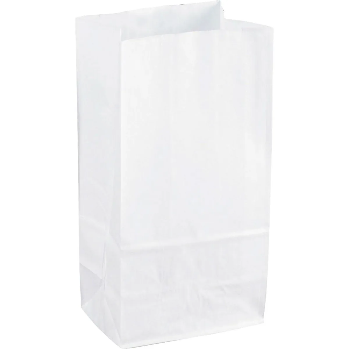SPARCO SPARCO 99828 White Kraft Paper Bags Educational 100 Pack 11x6 — product photo