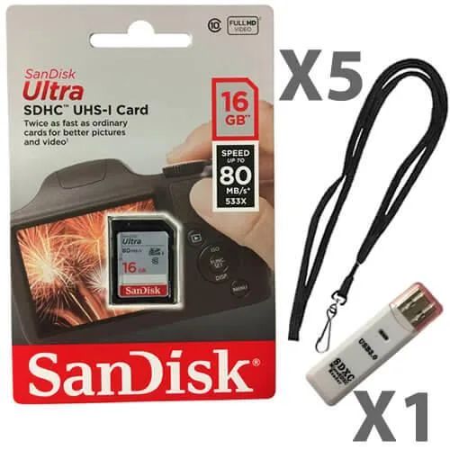 SanDisk SanDisk 16 GB SDHC Class 10 5-pack with lanyards and USB reader — product photo