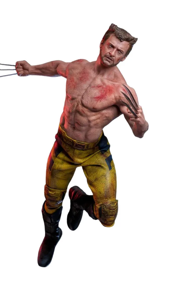 Hot Toys 1/6 Wolverine Jacket Version figure with battle-damaged head and tailored jacket