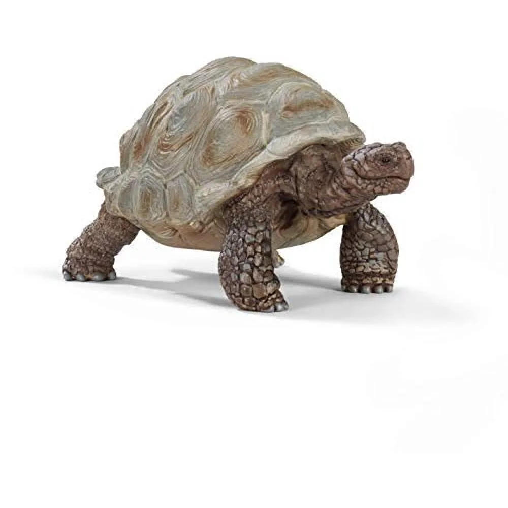 Schleich Schleich Wildlife Giant Tortoise Figure 14824 hobby collectible — product photo