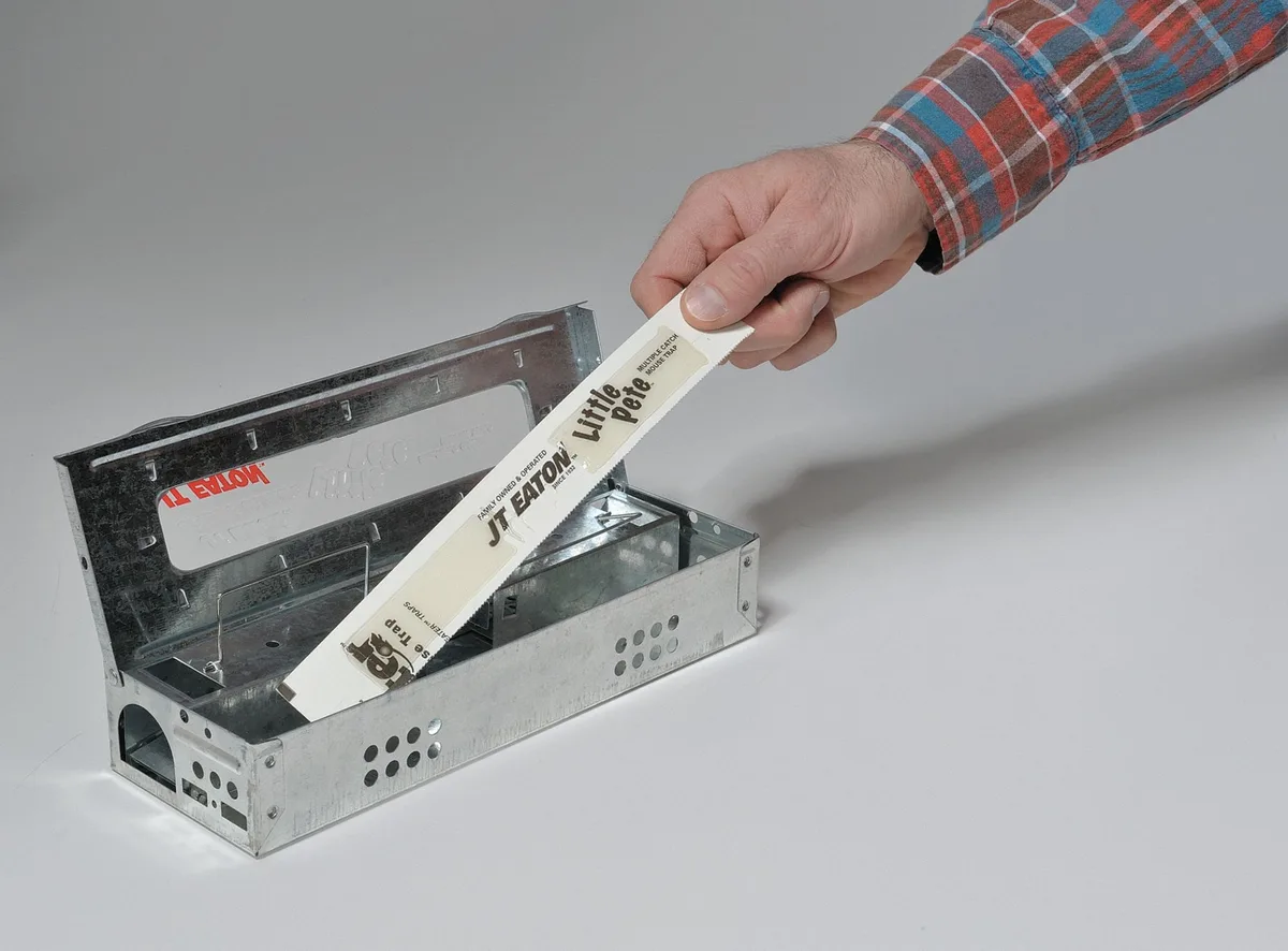 Silver galvanised steel snap mouse trap with removable ramps