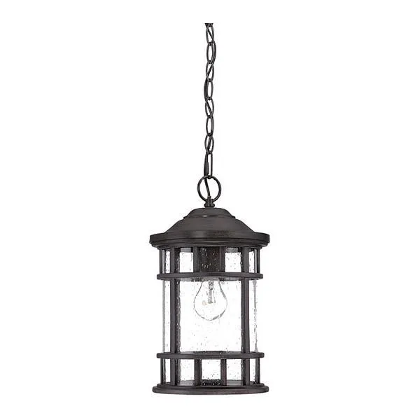 Black Coral one-light chandelier with clear seeded glass shade