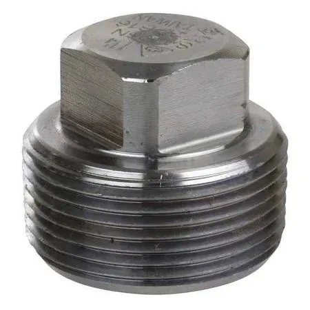 Stainless steel square-head pipe plug, brushed finish