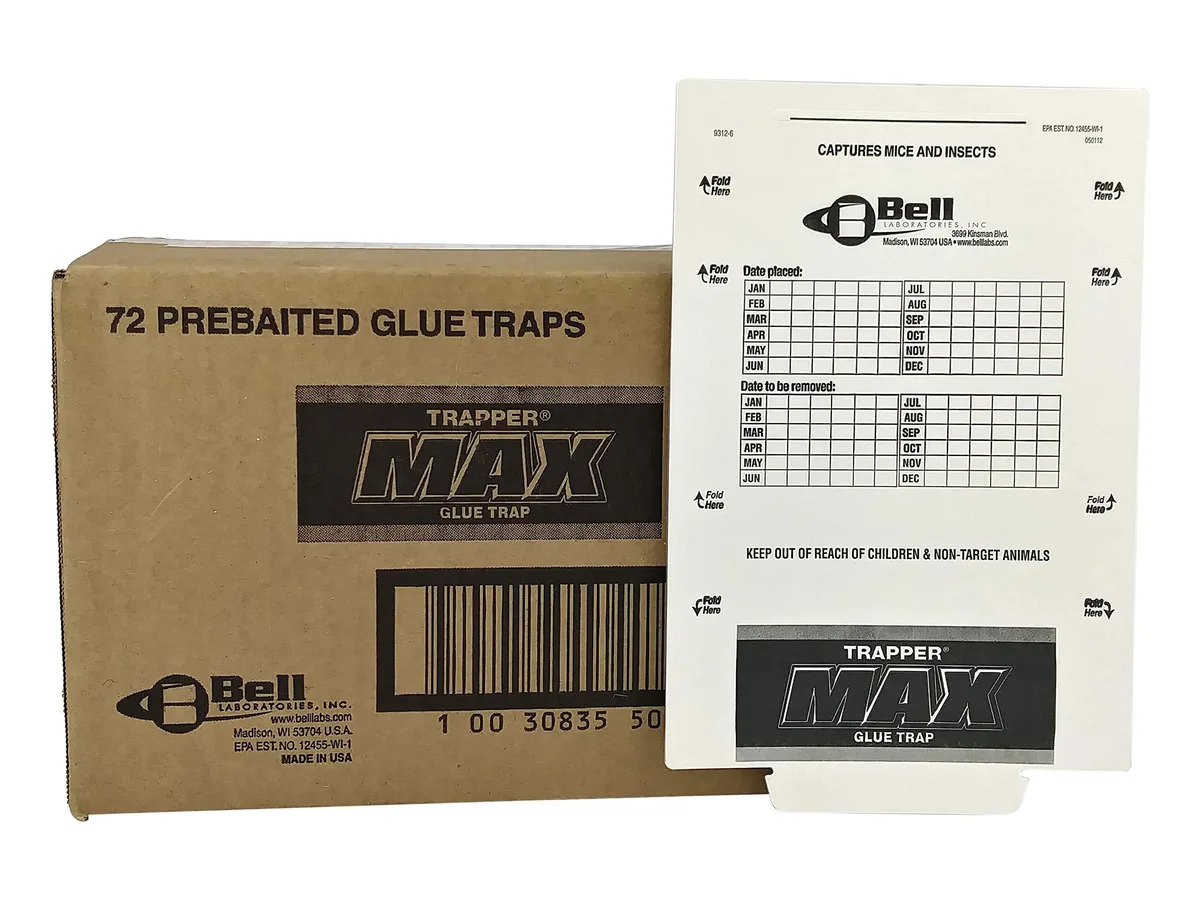 Twelve white rectangular paper glue boards in a pack