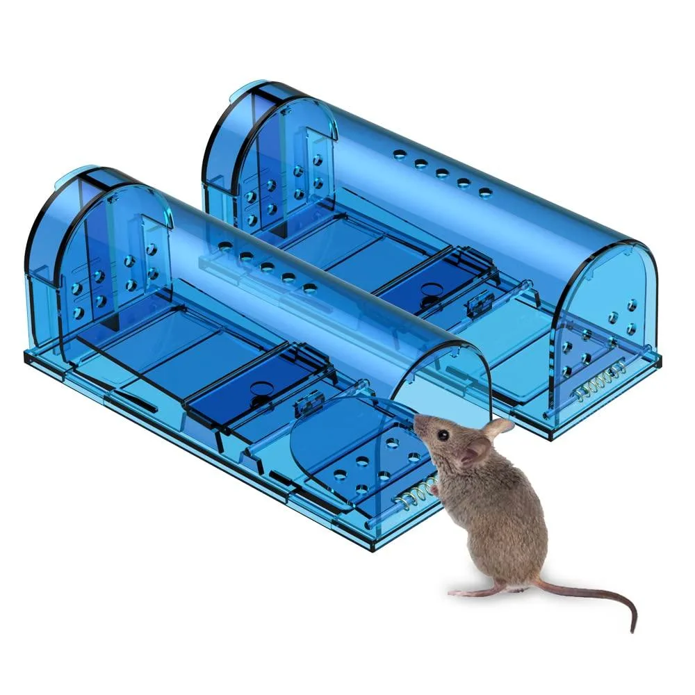 Two blue rectangular plastic mouse traps with ventilation holes and sliding rear doors
