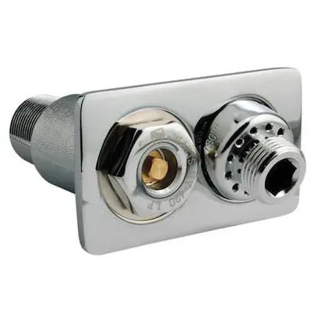Watts HY 430 wall hydrant with chrome face and loose key handle