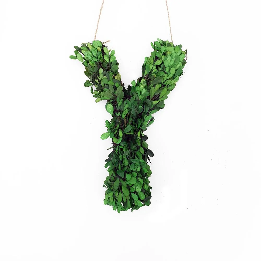 Vandue Corporation Vandue Corporation 12" Preserved Boxwood Monogram Letter Y — product photo