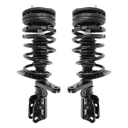Unity front complete strut assembly kit, pair of silver struts with coil springs and top mounts