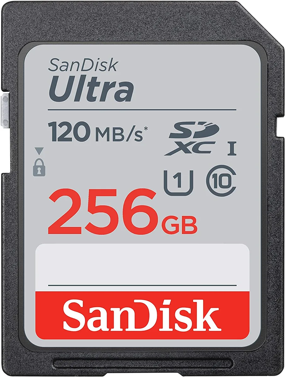 SanDisk SanDisk Ultra 256GB SDXC Class 10 with Case — product photo