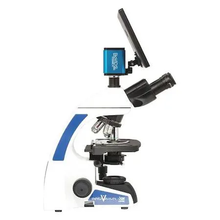 Trinocular compound microscope with LED illumination, 9x15in base, 22mm field of view