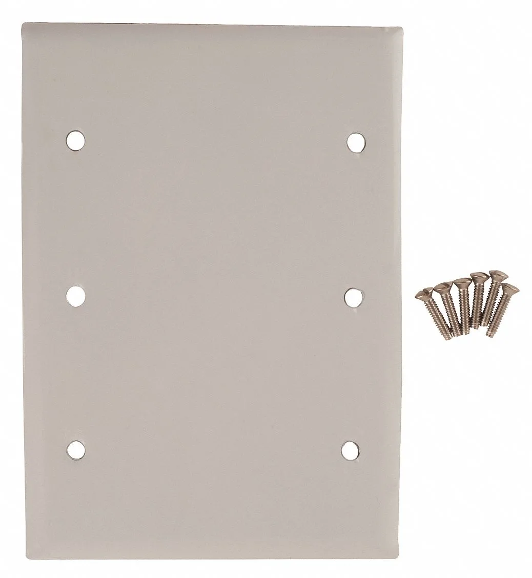 Hubbell Incorporated Hubbell Incorporated SS33 Blank Box Mount Switch Plate — product photo